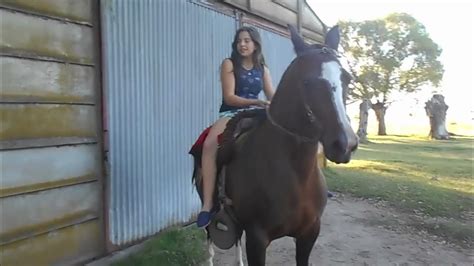 horsefuck|Horny horsewoman fucks a big.